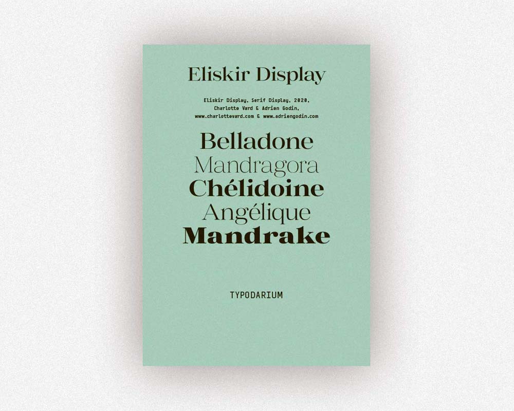 verlag hermann schmidit | TYPODARIUM 2021 ݥꥦ/