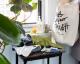 STUSSY Livin' General Store | GS Everyone Soap made by EO  GS���֥��󥽡���