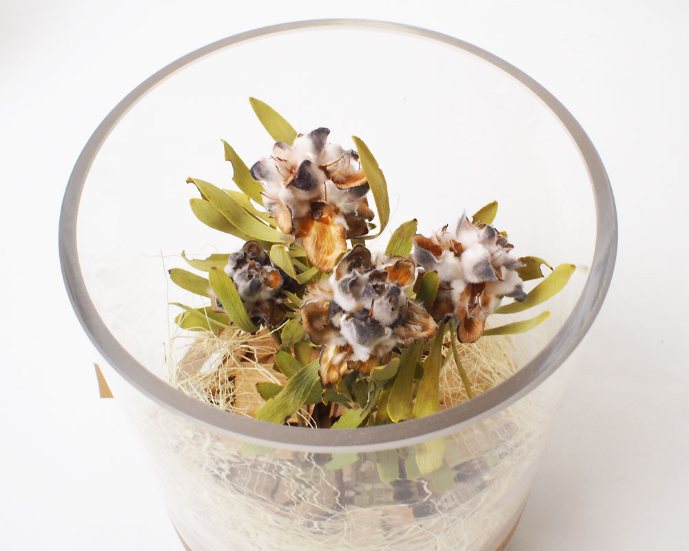 The Landscapers | DRY CYLINDER 15 [A] �ɥ饤��������15