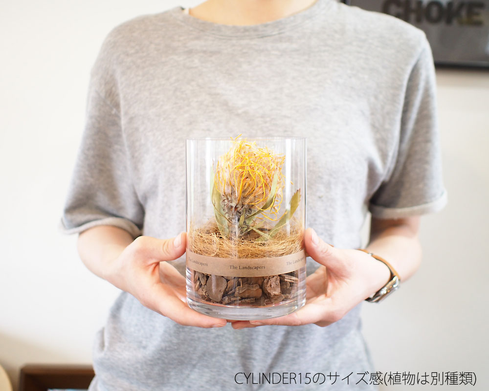 The Landscapers | DRY CYLINDER 15 [A] �ɥ饤��������15