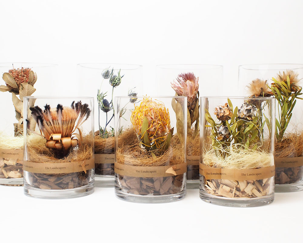 The Landscapers | DRY CYLINDER 15 [A] �ɥ饤��������15