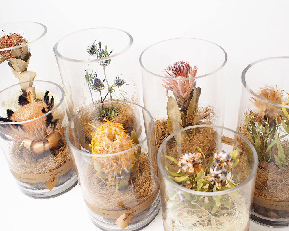 The Landscapers | DRY CYLINDER 15 [A] �ɥ饤��������15