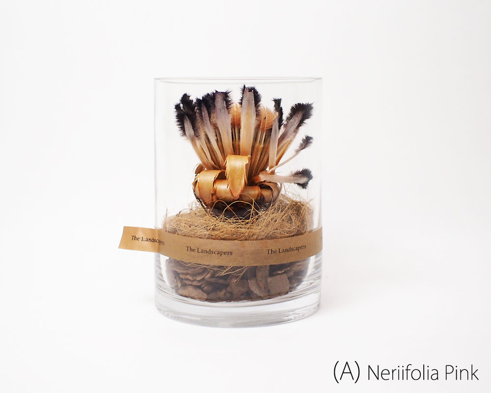 The Landscapers | DRY CYLINDER 15 [A] �ɥ饤��������15