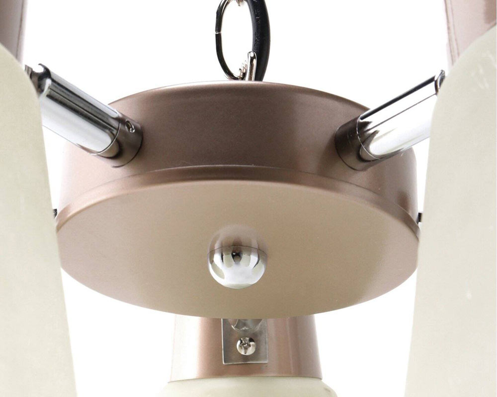ACME Furniture | LEO PENDANT LAMP 쥪ڥȥ