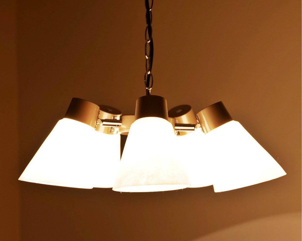 ACME Furniture | LEO PENDANT LAMP 쥪ڥȥ