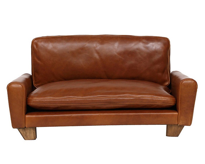 ACME Furniture | FRESNO FOR DOG  ե쥹Υեɥå