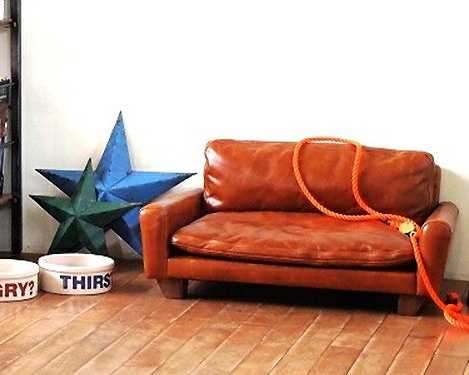 ACME Furniture | FRESNO FOR DOG  ե쥹Υեɥå