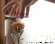 The Landscapers | DRY CYLINDER 20 [B] ドライシリンダー20