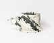 ECHO PARK POTTERY | Mug Cup (D2) �����ѡ����ݥ��꡼ �ޥ�