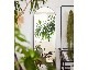 OUTLET | journal standard Furniture | PORTO STYLE MIRROR �ݥ�ȥ�������ߥ顼