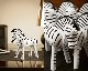 KAY BOJESEN DENMARK | ZEBRA ���֥�