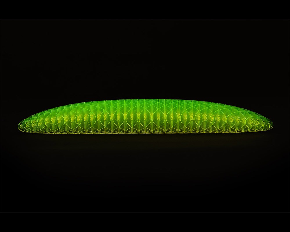 Humango Toys | MORF WORM [2size] ݥեݥ /եåȥȥ