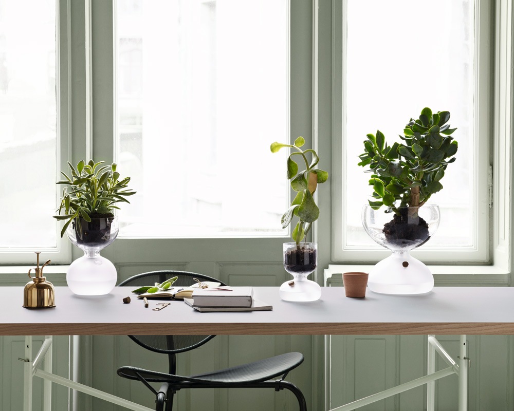 Holmegaard | GAIA Plant Glass �������ץ��ȥ��饹