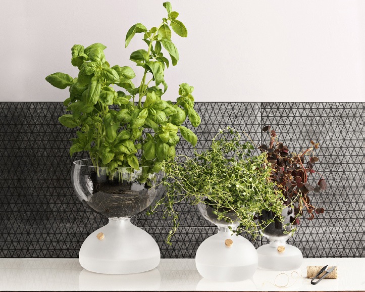 HOLME GAARD GAIA プラントグラス ホルムガード ガイアプラントグラス｜Holmegaard GAIA Plant Glass