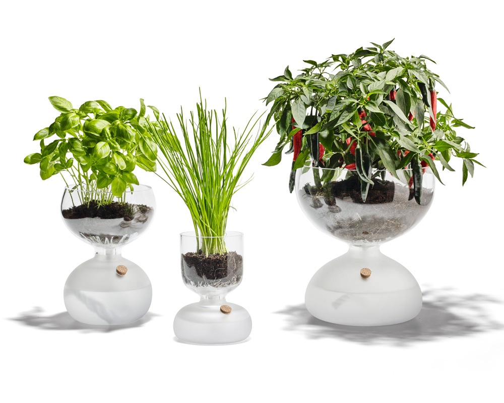 Holmegaard | GAIA Plant Glass �������ץ��ȥ��饹