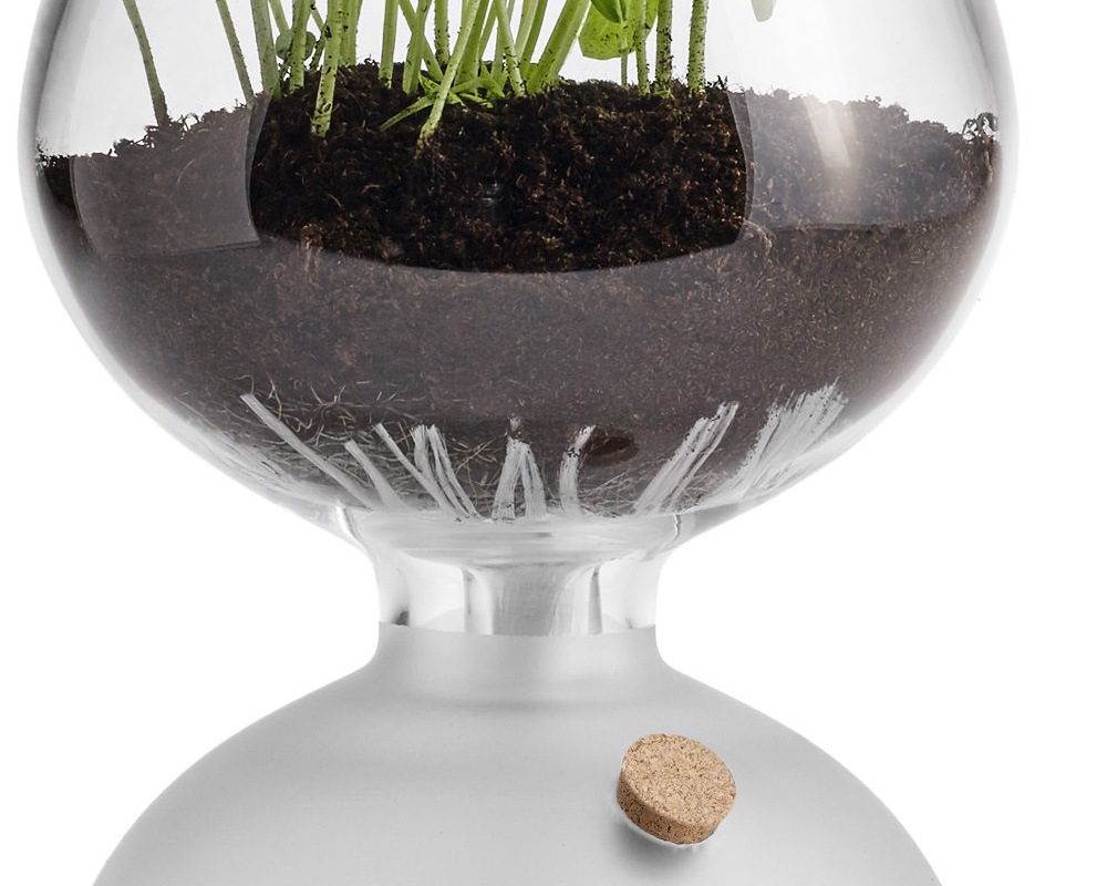 Holmegaard | GAIA Plant Glass �������ץ��ȥ��饹