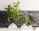 Holmegaard | GAIA Plant Glass �������ץ��ȥ��饹