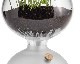 Holmegaard | GAIA Plant Glass �������ץ��ȥ��饹