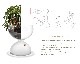Holmegaard | GAIA Plant Glass �������ץ��ȥ��饹