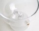Holmegaard | GAIA Plant Glass �������ץ��ȥ��饹