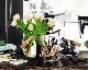 Holmegaard | Design with Light POT [3size] ǥ󥦥饤 ݥå