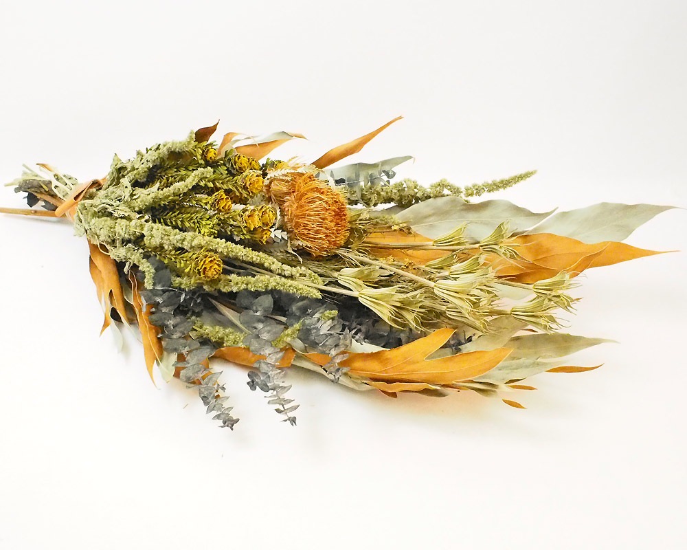 The Landscapers | TLS DRIED FLOWERS [E] ɥ饤ե