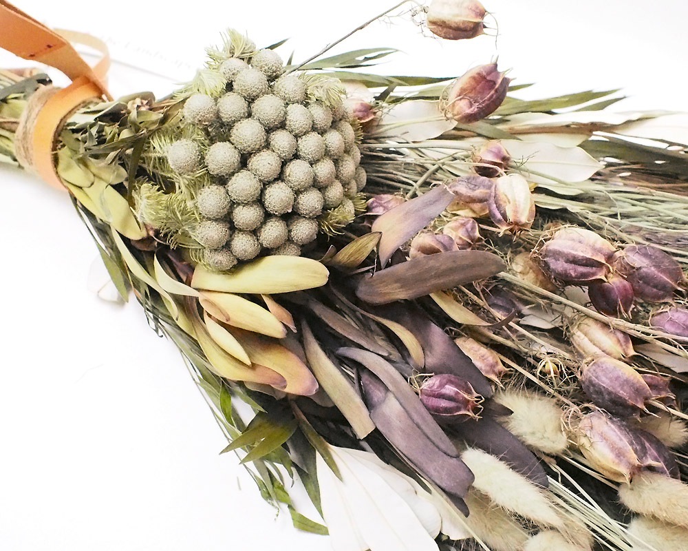 The Landscapers | TLS DRIED FLOWERS [F] �ɥ饤�ե�