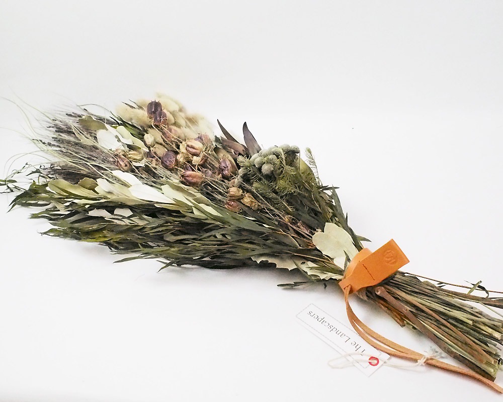 The Landscapers | TLS DRIED FLOWERS [F] �ɥ饤�ե�