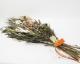 The Landscapers | TLS DRIED FLOWERS [F] �ɥ饤�ե�