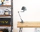 Jielde | 373 Aicler Curve Desk Lamp [2color] 373顼֥ǥ