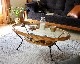 ACME Furniture | BALBOA COFFEE TABLE Хܥҡơ֥