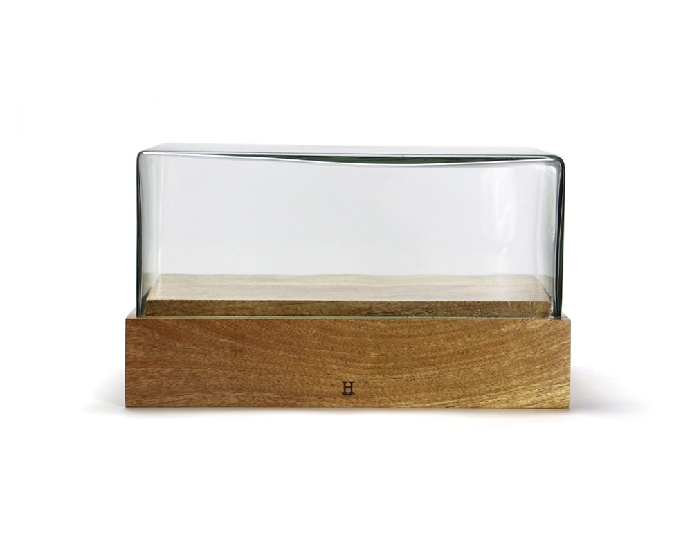 DETAIL | Glass Dome Rectangle [2size] 饹ɡ 쥯󥰥