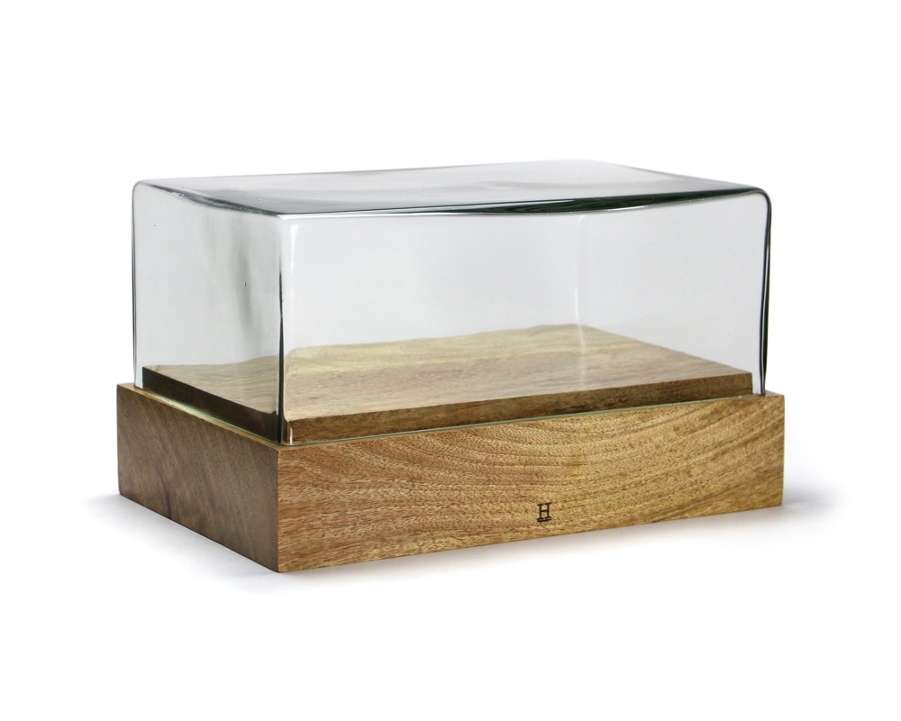 DETAIL | Glass Dome Rectangle [2size] 饹ɡ 쥯󥰥