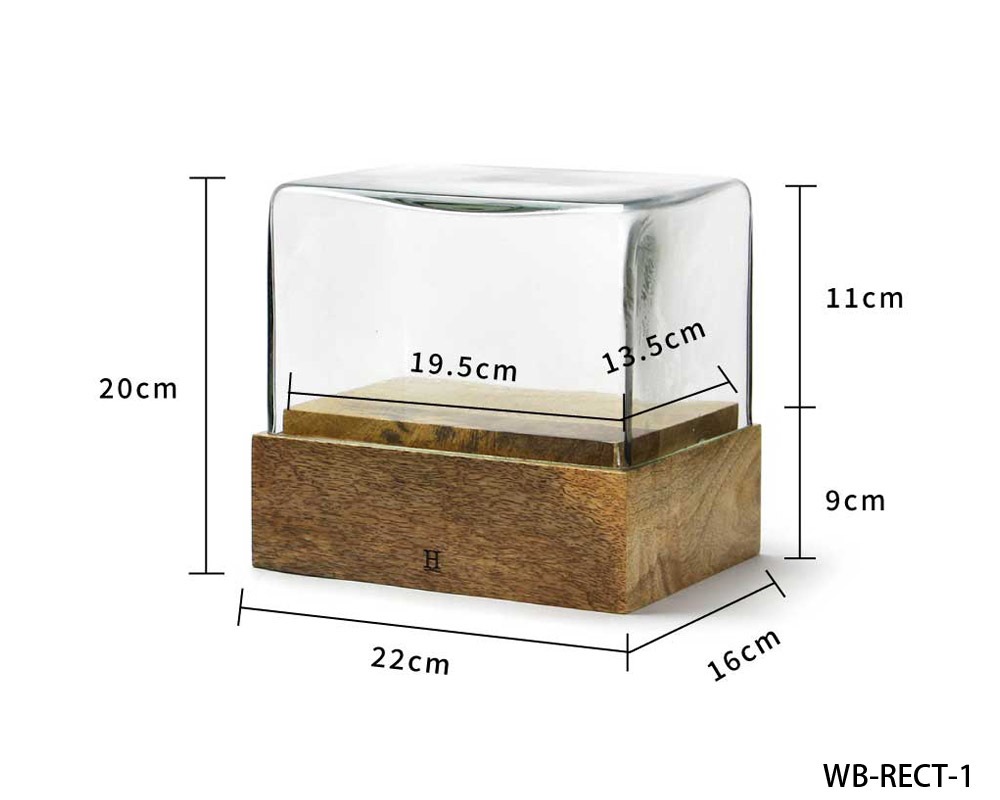 DETAIL | Glass Dome Rectangle [2size] 饹ɡ 쥯󥰥