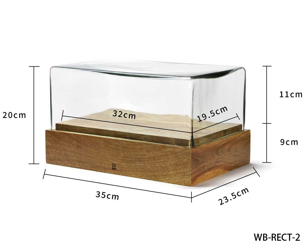 DETAIL | Glass Dome Rectangle [2size] 饹ɡ 쥯󥰥
