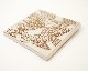 BIRDS' WORDS | CERAMIC PLATE FAMILY��ƫ��/����ߥå��ץ졼�� �ե��ߥ꡼