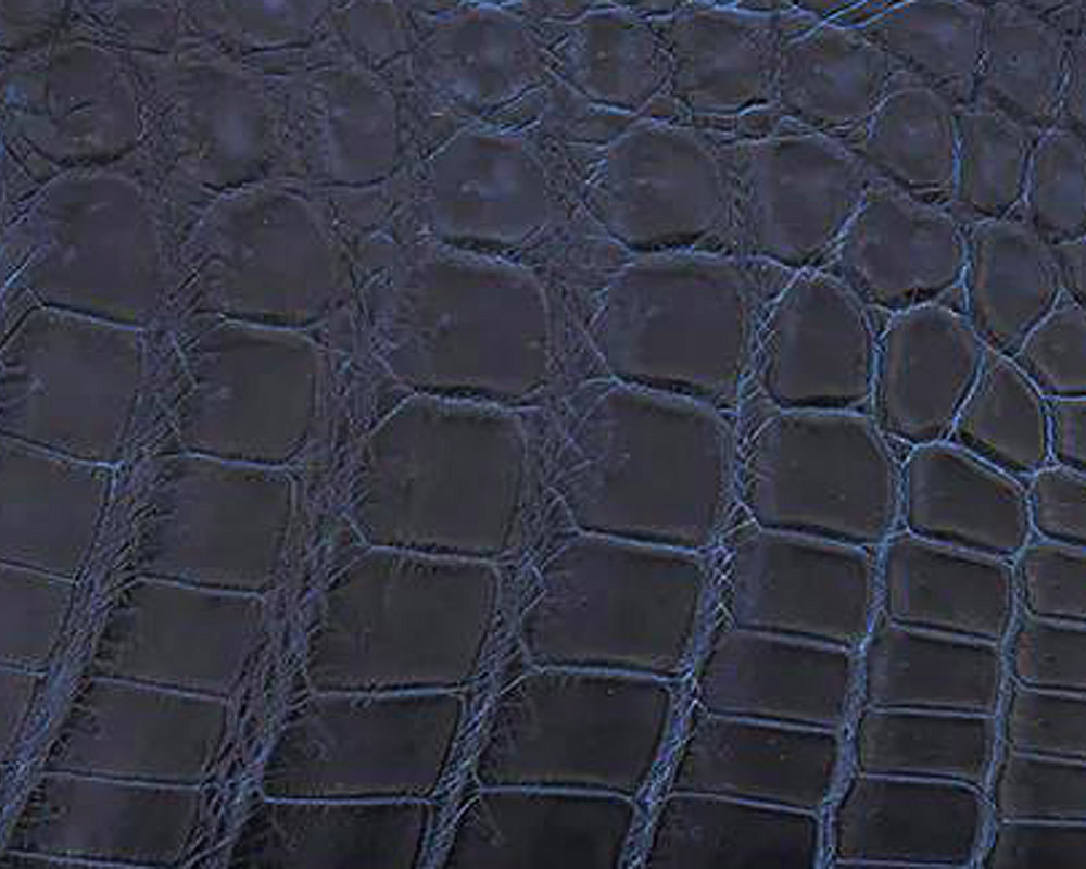 ITTI | CRISTY VERY COMPACT WLT .5 AI CROCO ꥹƥ٥꡼ѥȥå ᥯/ 