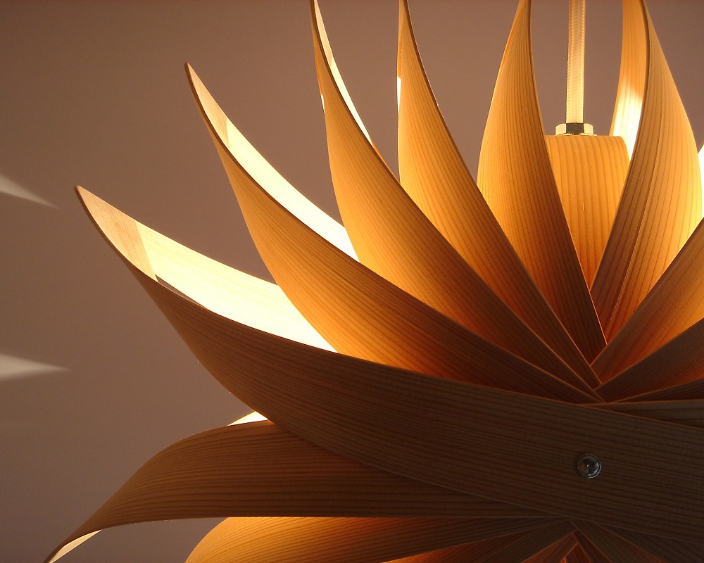 ë�ӹ� | Wappa Shade Hanabi ��äѥ������ɥ��� �ֲ�