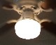 HERMOSA | LAGUNA Ceiling Fan 饰ʥ󥰥ե