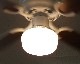 HERMOSA | LAGUNA Ceiling Fan [2color] 饰ʥ󥰥ե