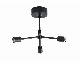 journal standard Furniture | TIAGO CEILING LAMP �ƥ����� ������󥰥���