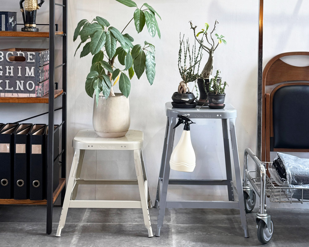 LYON | FACTORY STOOL 2nd [2color��2size] �ե����ȥ꡼���ġ���