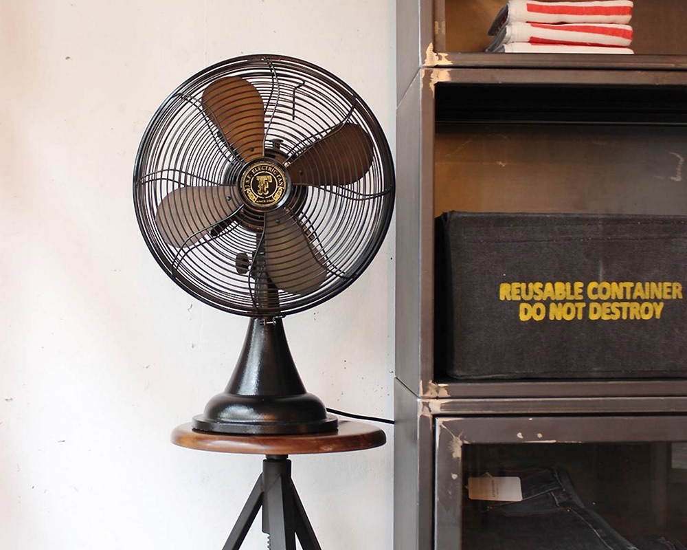 journal standard Furniture | JSF FAN [2color]  ե/