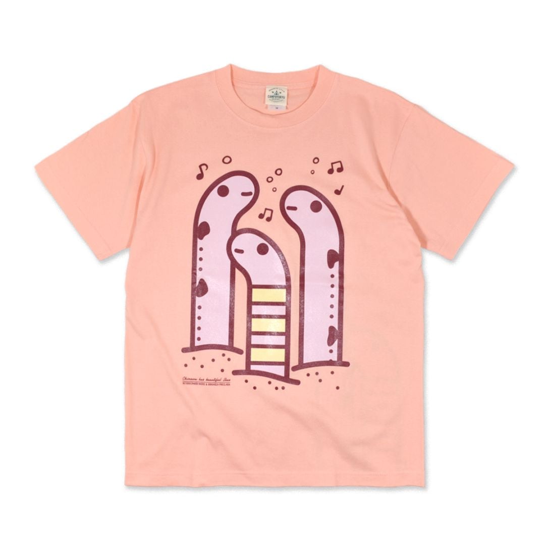 チンアナゴ・ニシキアナゴ/アプリコット