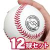 SSK エスエスケイ 高校練習球 硬式ボール 12球セット 1ダース 野球 天然皮革 GD85|その他野球用品|野球・ソフトボール