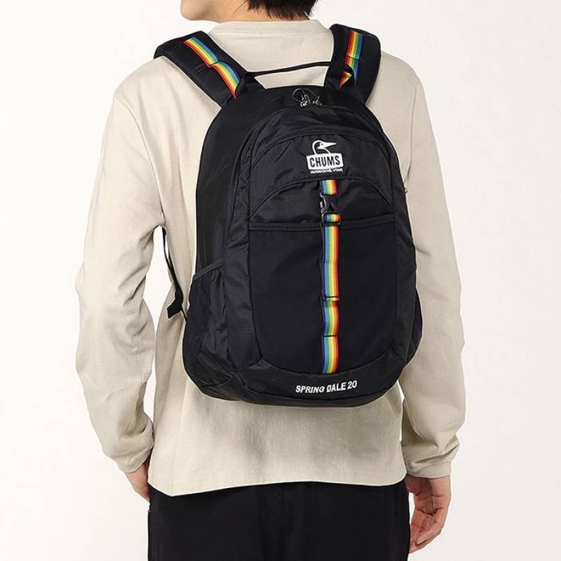 CHUMS リュック 35L チャムス 正規品 A4 B4 レインカバー メンズ