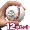 SSK エスエスケイ 硬式野球用 練習球 12球セット 1ダース 天然皮革 中国製 個包装なし 高校野球 GD89|その他野球用品|野球・ソフトボール