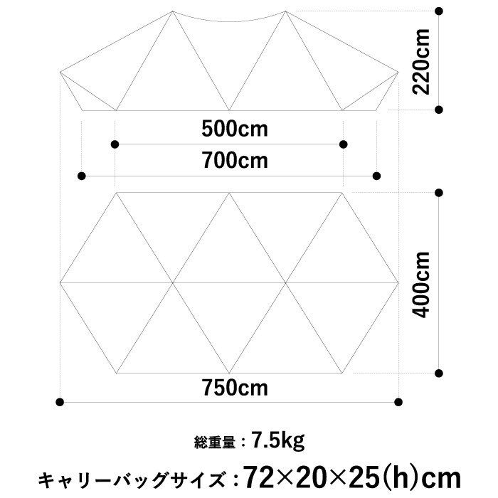 シェル吉 ZANE ARTS ゼインアーツ GIGI-2 ギギ-2 ツーポールラージサイズ