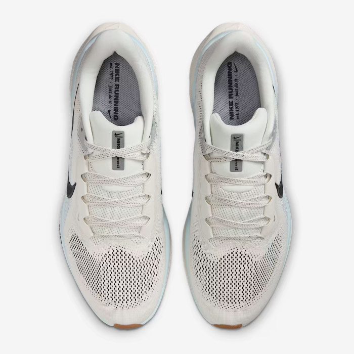 NIKE ナイキ ペガサス 41 ランニングシューズ メンズ 軽量