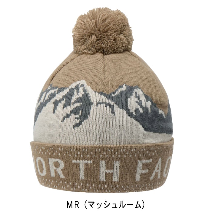 その他 N.N トリックスター / Ninja ZX-4RR / ZX-4R SE(24-26) 政府認証スリップ